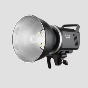 Flash Godox MS300