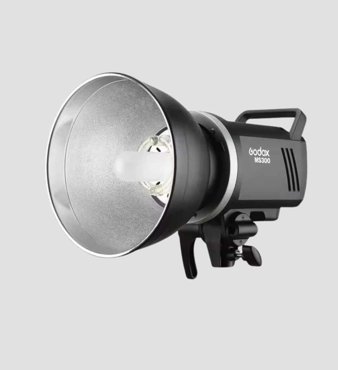 Flash Godox MS300