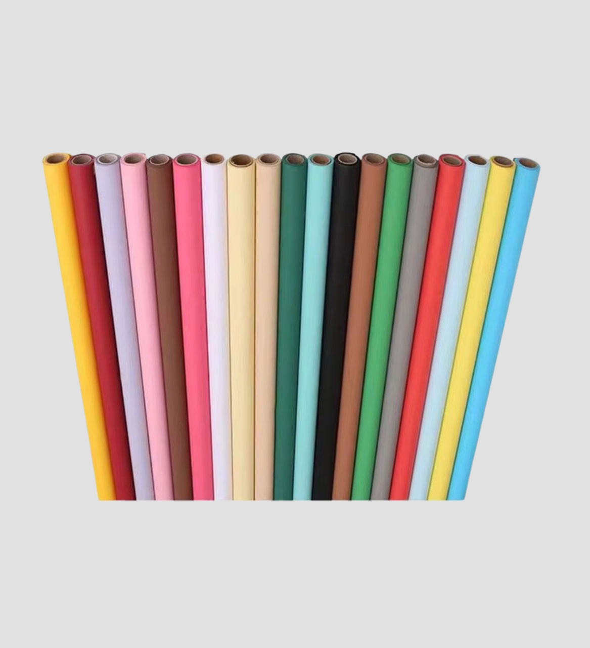 Fond Papier Studio 2m72x11m